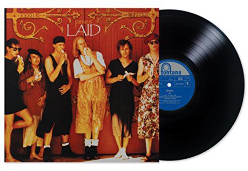 Laid [Import]