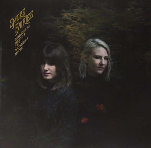 Darkness Brings The Wonders Home (Indie Exclusive)