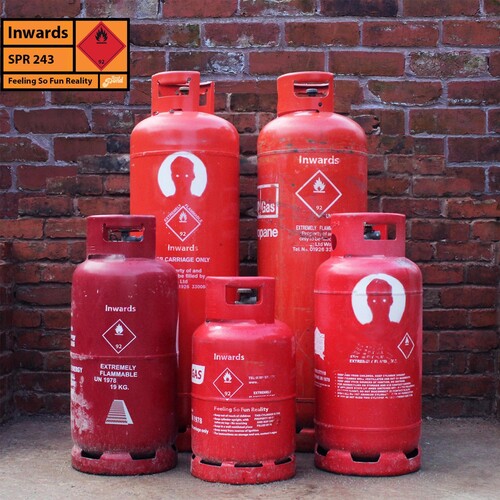 Feeling So Fun Reality