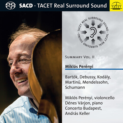 Summary - Miklos Perenyi 2