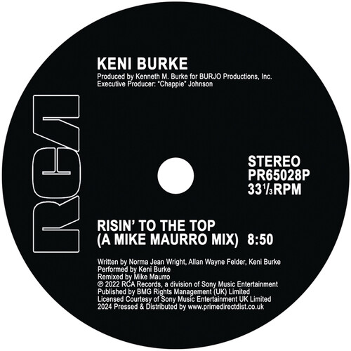 Risin' To The Top (Mike Maurro Mix)