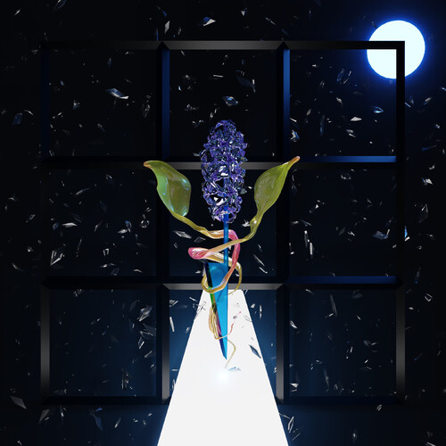 A Room With Many Doors : Night