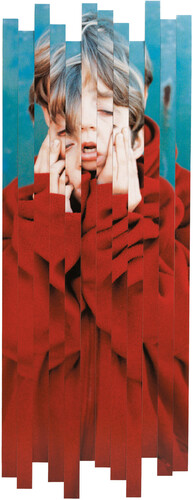 Placebo - Placebo Re:Created vinyl record cover