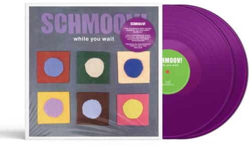 Schmoov! - While You Wait vinyl record cover