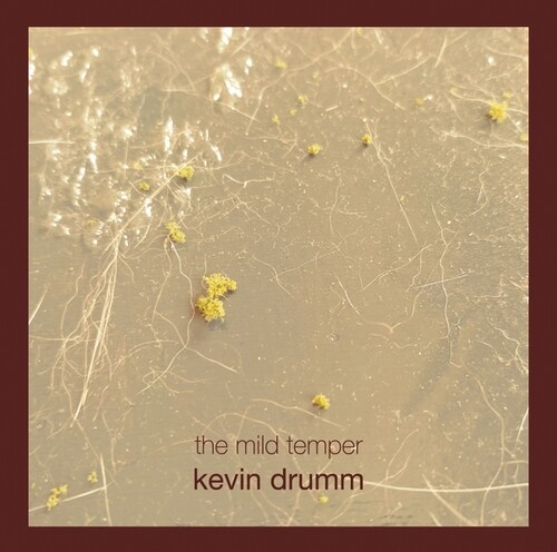 The Mild Temper