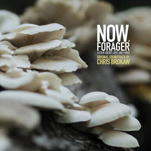 Now Forager (Original Soundtrack)
