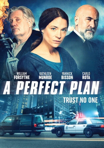 Perfect Plan - A Perfect Plan