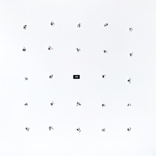 Split Series #24