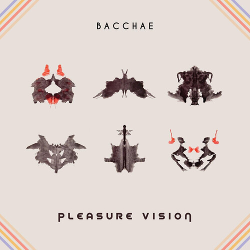 PLEASURE VISION