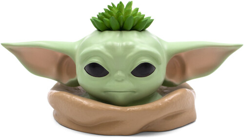 CF YODA PLANTER ASSORT