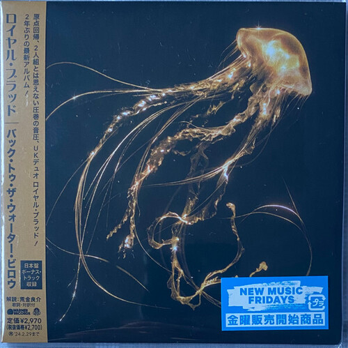 Back To The Water Below - incl. Bonus Track