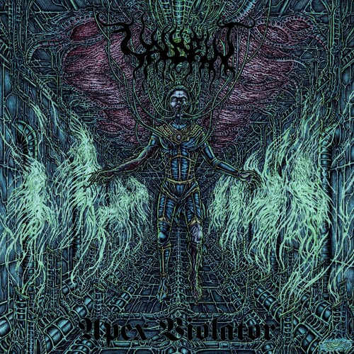 Apex Violator (Uk)