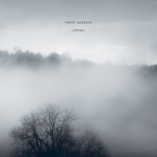 Poppy Ackroyd - Liminal vinyl record cover