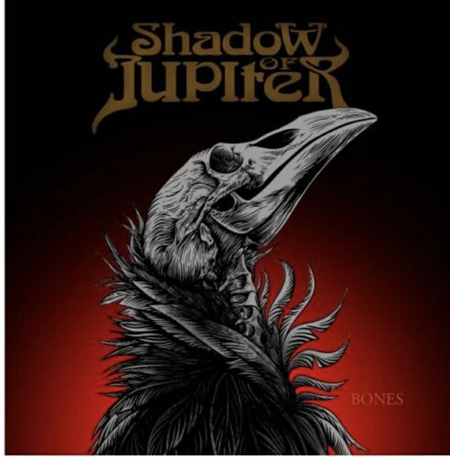 Shadow Of Jupiter - Bones vinyl record cover