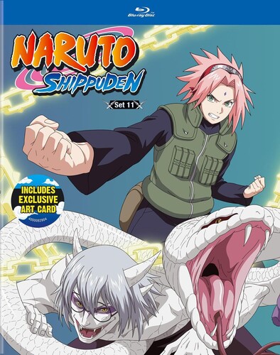 Naruto Shippuden - Set 11