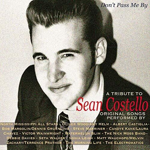 Dont Pass Me By / Various - Don't Pass Me By, A Tribute To Sean Costello (Various Artists) vinyl record cover