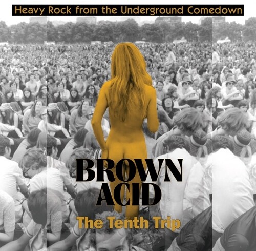 Brown Acid - The Tenth Trip (Various Artists)