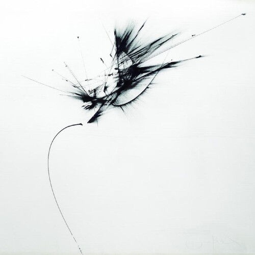 Guix: Images Of Broken Light