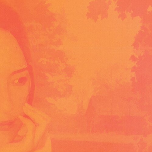 Deep Roots In Shallow Ground (20th Anniversary)