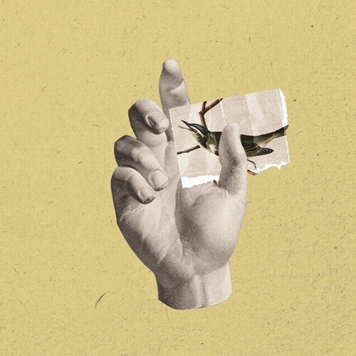 Walls, Fragments