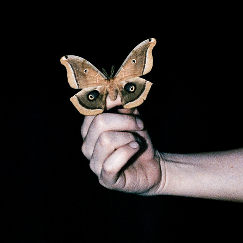 All Systems Are Lying [Explicit Content]