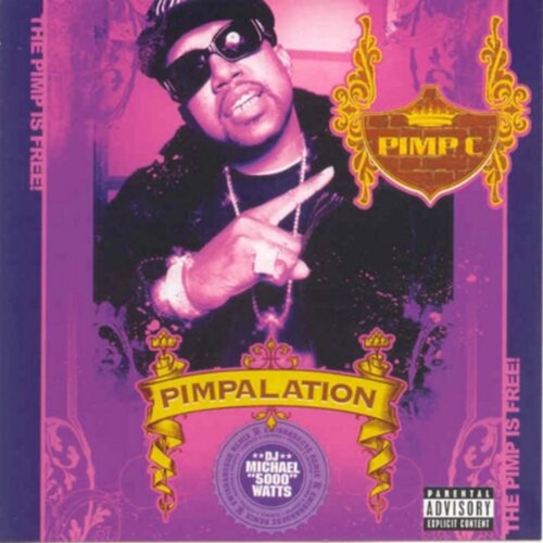 Pimpalation [Explicit Content]