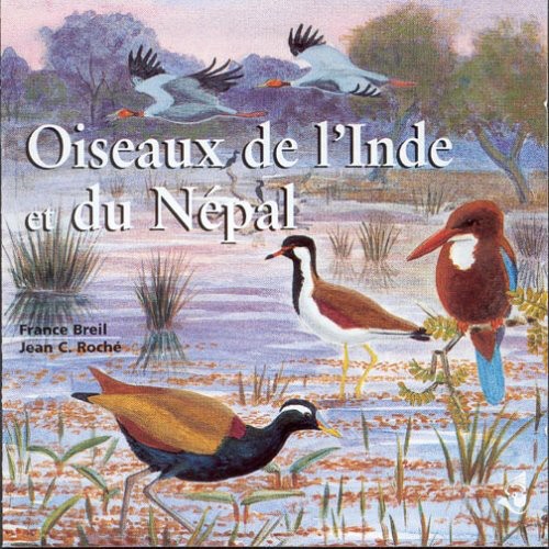 Birding in India & Nepal