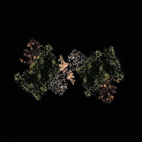 WOODSMAN