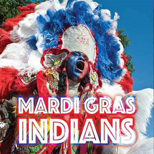 Mardi Gras Indians / Various - Mardi Gras Indians (Various Artists) vinyl record cover