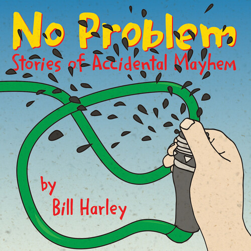 No Problem: Stores Of Accidental Mayhem