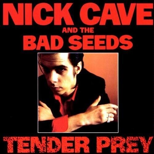 Tender Prey [Explicit Content]