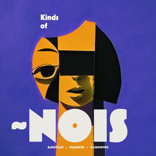 Kinds Of Nois