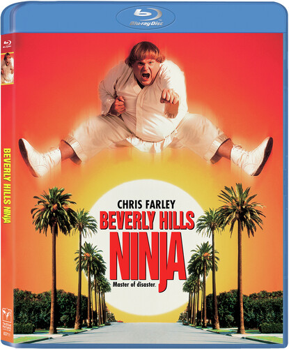 Beverly Hills Ninja