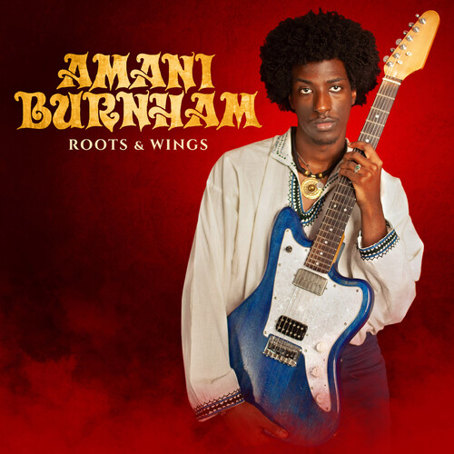 Amani Burnham - Roots & Wings vinyl record cover