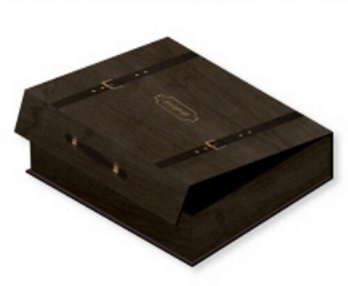 2020 Season's Greeting (The Azit) (incl. Calendar, Diary, Poster, WishCard, Stickers, Canvas, Paints + DVD) [Import]