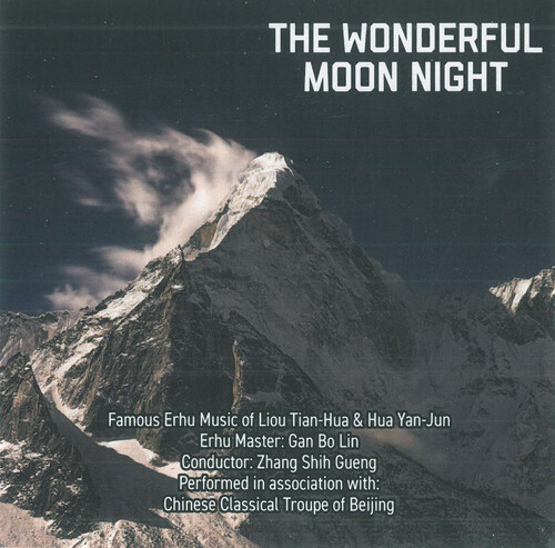 Wonderful Moon Night / Various - Wonderful Moon Night / Various