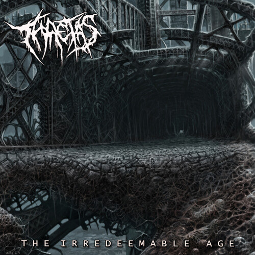 Thaetas - Irredeemable Age vinyl record cover