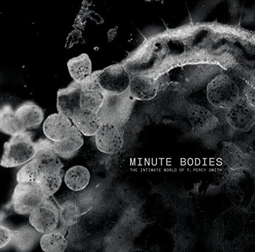 Tindersticks - Minute Bodies: Intimate World Of F. Percy Smith