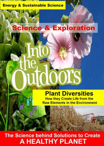 Plant Diversities - How they Create Life from the Raw Elements in the Environment