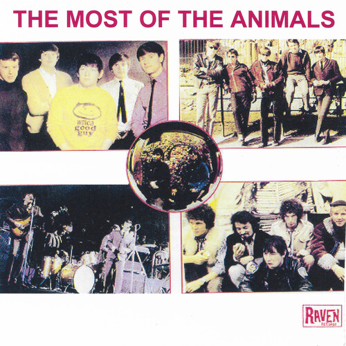 Most Of The Animals