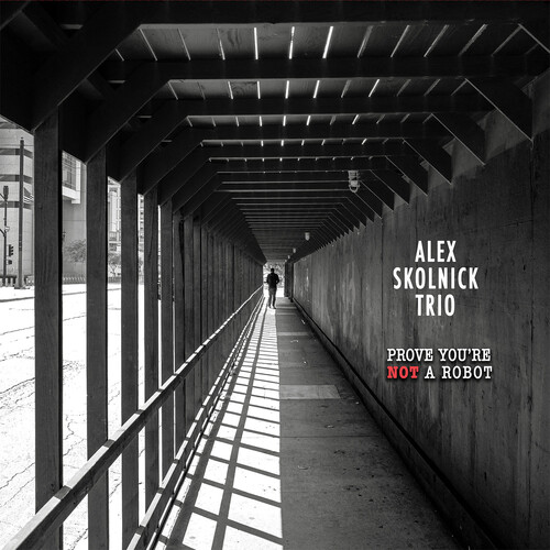 Skolnick, Alex Trio - Prove You're Not a Robot
