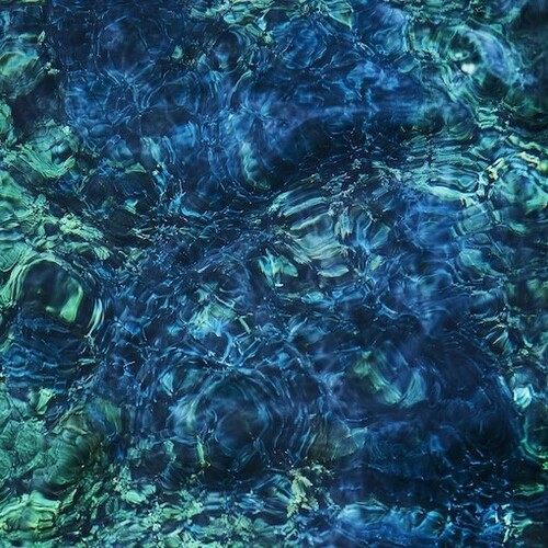 Luminescent Creatures - Limited [Import]