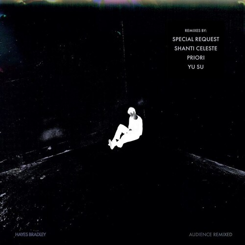 Audience (Remixed)