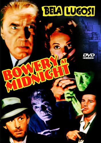 Bowery at Midnight