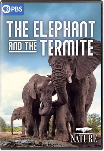 Nature: The Elephant And The Termite