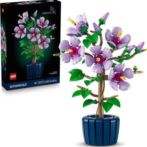 BOTANICALS HIBISCUS