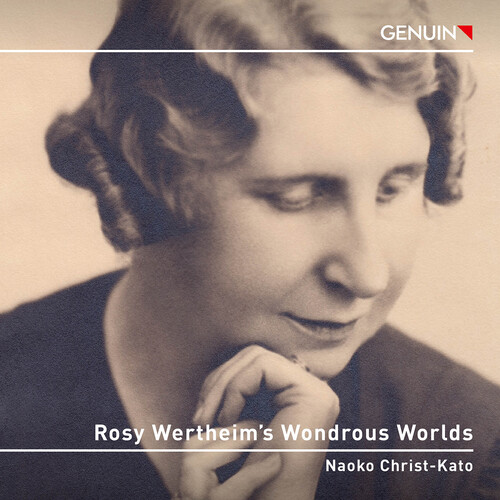 Rosy Wertheim’s Wondrous Worlds