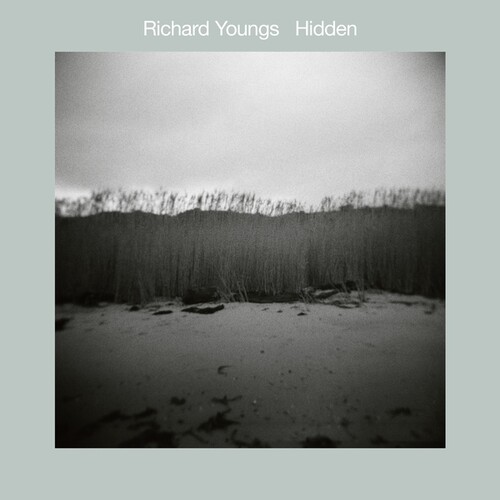 Hidden