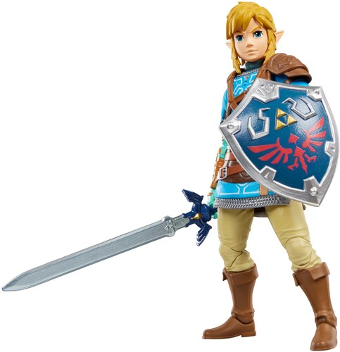ZELDA: TOTK HEROES OF HYRULE LINK