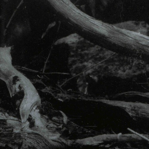 World Of Wounds